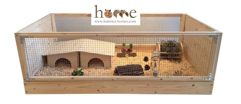 Guinea Pigs - Setting up a Home for your Indoor Guinea Pigs