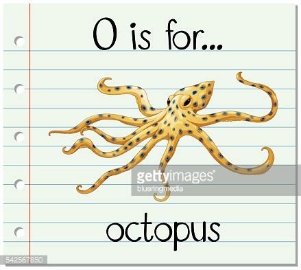 Flashcard Letter O Is For Octopus Stock Vector | Royalty-Free | FreeImages