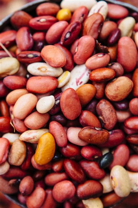 Types of beans and how to cook with them - Sweetgrass Trading Co