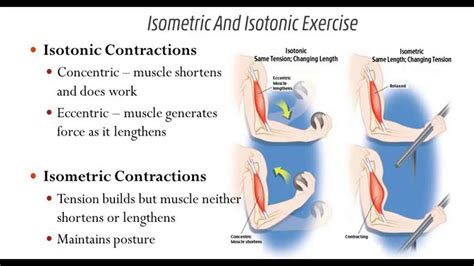 Isometrico E Isotonico Cual Es La Diferencia – Otosection