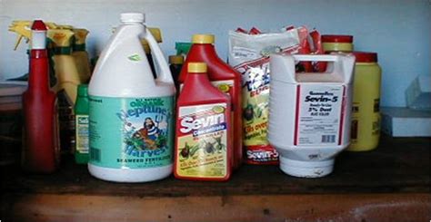 Using Pesticides Safely and Correctly – Pesticide Environmental Stewardship