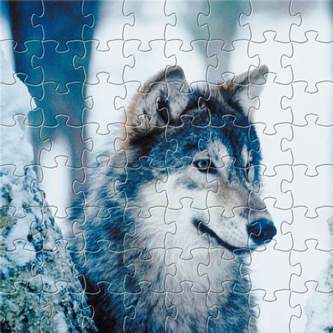 Pin by Janet Francis on ~Jigsaw Puzzles~ | Animal pictures, Animals, Painting