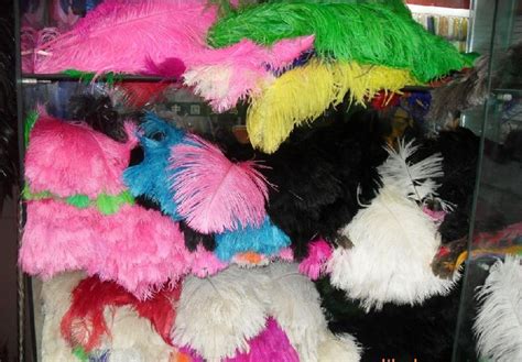 Assorted Colors Ostrich Feathers Wholesale 12 Pieces 12-14inch