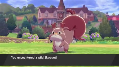 Skwovet Location, Evolution, Stats: Pokemon Sword and Shield