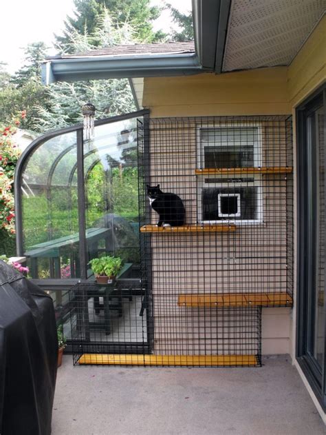 20+ Building A Cat Enclosure – HomeDecorish