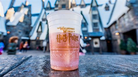 The Truth About Universal Studio's Wizarding World Of Harry Potter Butterbeer