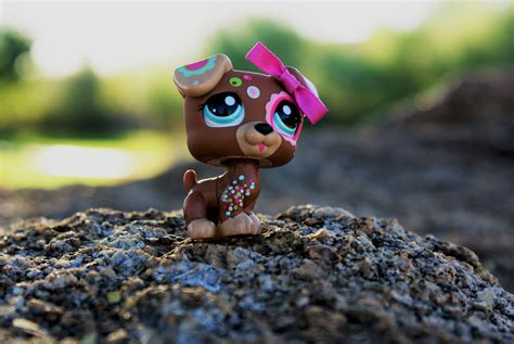 LPS Dog | Lps dog, Littlest pet shop, Little pets