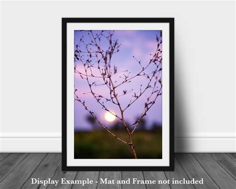 Harvest Moon Fine Art Photography Print Abstract Landscape Rustic ...