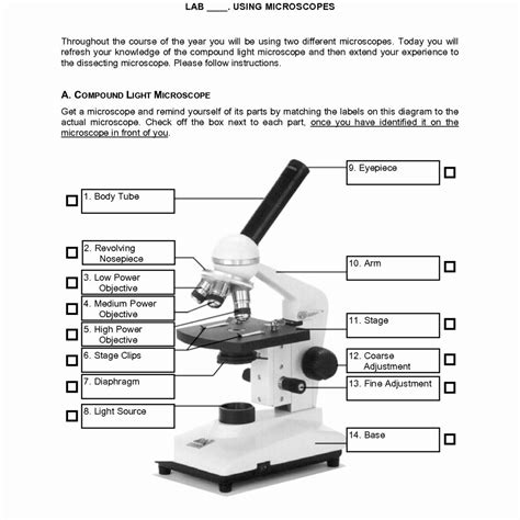 The Microscope Worksheets Answers