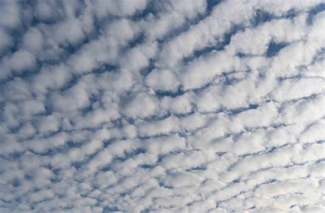 Rising CO2 Levels Could Wipe Out Stratocumulus Clouds, Accelerating ...