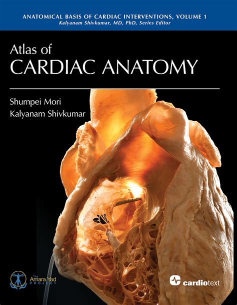 Atlas of Cardiac Anatomy gratis eBook — Cardiotext Publishing - Cardiology Books and eBooks