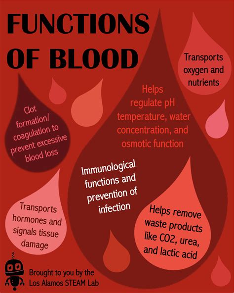 All About Blood – Los Alamos STEAM Lab