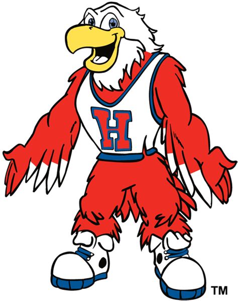 Hartford Hawks Mascot Logo - NCAA Division I (d-h) (NCAA d-h) - Chris Creamer's Sports Logos ...