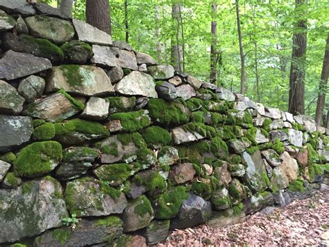 I love a mossy wall... | Landscaping retaining walls, Organic gardening, Photography themes