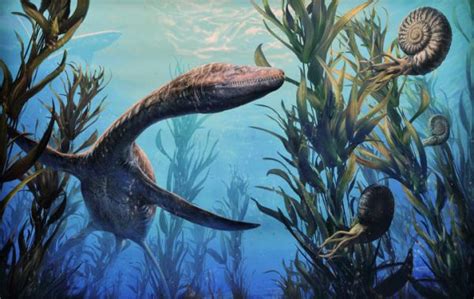 Fossil scan reveals secrets of New Zealand’s extinct marine reptiles | New Zealand Geographic