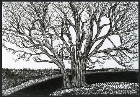 Solitary by Danielle Scott | Redbubble | Ink drawing, Original ink ...