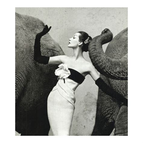 Dovima with Elephants // Richard Avedon - Signed & Unsigned Posters ...