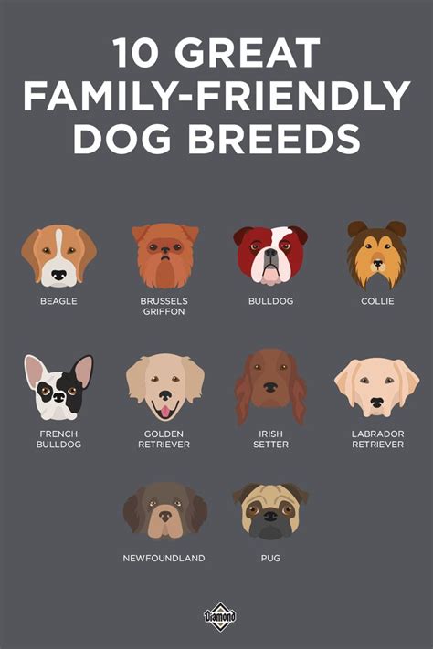 Top 10 Dog Breeds for Family-Friendly and Easy Training