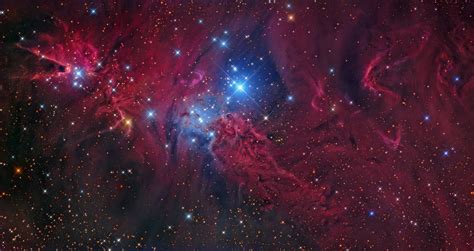 Hanson Astronomy Photos-Cone and Fox Fur Nebula