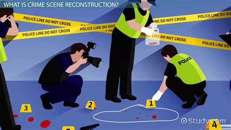 Crime Scene Reconstruction | Examples, Methods & Use - Video & Lesson ...