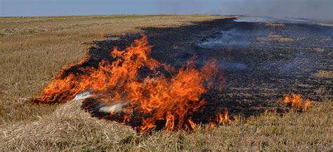 Air pollution | Ban on stubble burning - Telegraph India