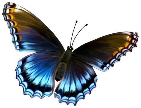 Download Butterfly Png 6 HQ PNG Image | FreePNGImg