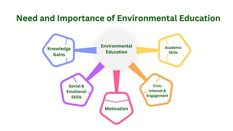 Nécessité et importance de l'éducation environnementale - Sigma Earth