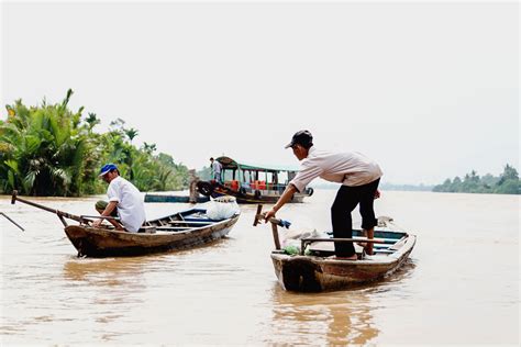 Mekong, Vietnam — Barrettish