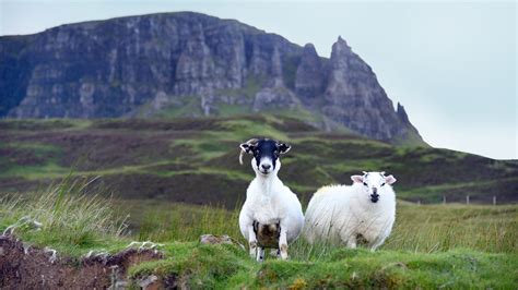 Scotland Isle of Skye is home to dramatic scenery, cliffs and castles