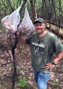 Morel Mushroom Hunting Tips – Information and Strategies [images and ...