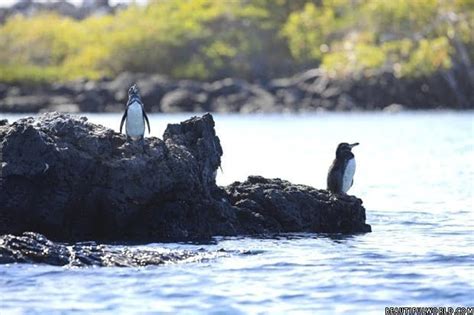 Galapagos National Park Facts & Information - Ecuador Travel Guide