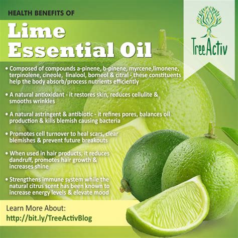 Health Benefits Of Lime Essential Oil - Skin, Hair, Body – TreeActiv