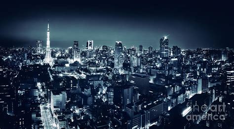 Panoramic city scenery of Tokyo and Tokyo tower Black and white ...