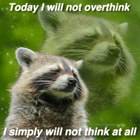 “Nocturnal Trash Posts”: 30 Of The Best Raccoon Memes This Dedicated ...