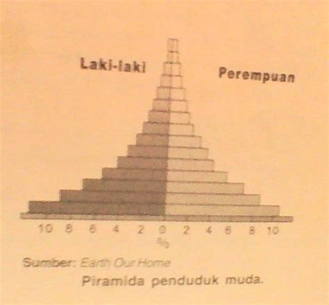 MeiGiaNa bLog: Piramida Penduduk dan Macam-Macam Piramida Penduduk serta Karakteristiknya