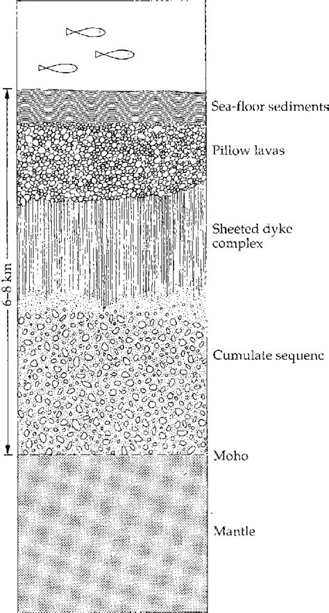 15 Schematic section through typical oceanic crust. Total thickness of... | Download Scientific ...