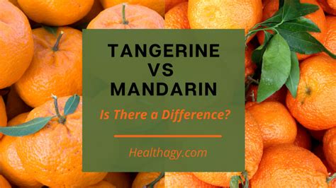 Tangerine vs Mandarin: Is There a Difference? - Healthagy