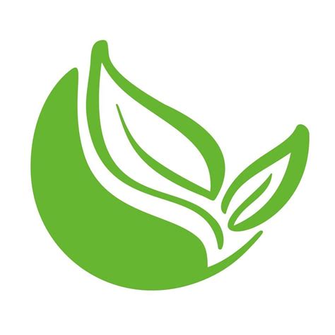 Logotipo de la hoja verde del té. Ecología naturaleza elemento vector icono orgánico. Bio vegano ...