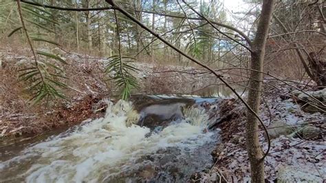 Removing Beaver Dam From Drainage Ditch - YouTube