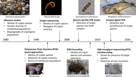 Navigating historical passages of marine invasive species – oceanbites