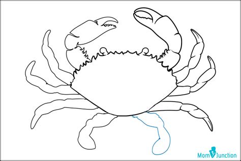 How To Draw Crab