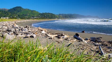 Visit Gold Beach: 2024 Travel Guide for Gold Beach, Oregon | Expedia