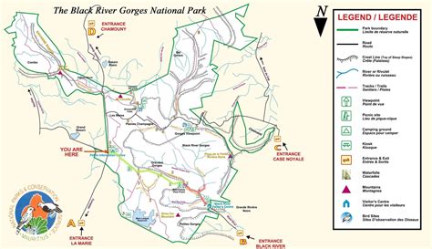 Black River Gorges National Park ultimate guide [with hiking map ...