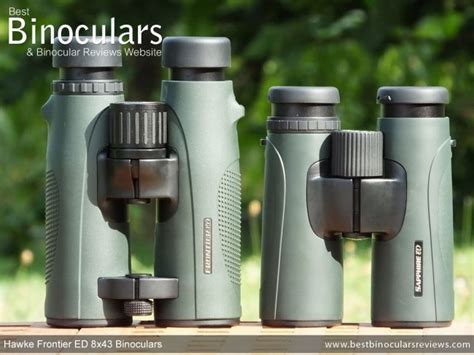 Birding Binoculars - Top 5 Things to Look For