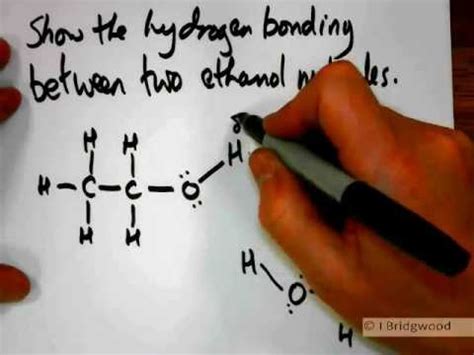 Hydrogen bonding in ethanol walkthrough - YouTube