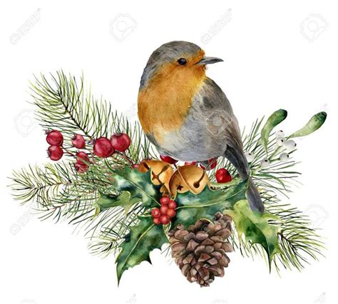 Watercolor Christmas composition with bird. Hand painted robin with fir … | Рождественские ...