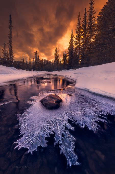 Winter Sunset in the forest Nature photography | Nature photography, Landscape photography ...