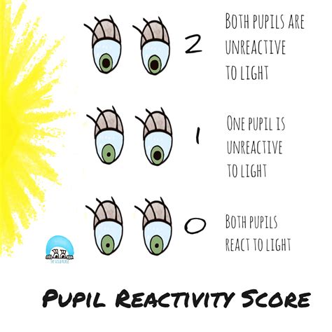 Glasgow Coma Scale Pupil Size Chart Images And Photos Finder | Images and Photos finder