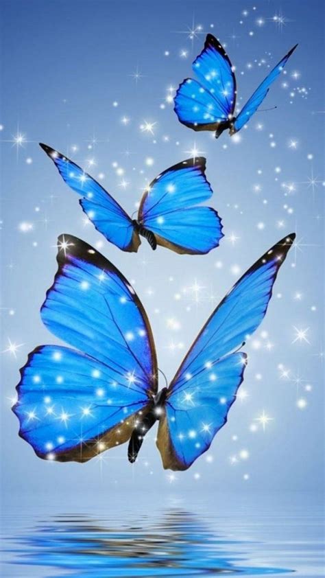 Wallpaper iPhone Blue Butterfly with HD Resolution 1080X1920 | Iphone ...