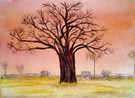 Baobab Tree Drawing at PaintingValley.com | Explore collection of Baobab Tree Drawing